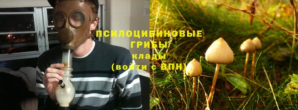 PSILOCYBIN Переславль-Залесский