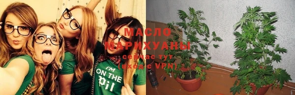 Альфа ПВП Пестово