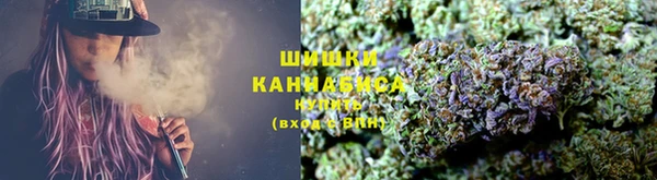 PSILOCYBIN Переславль-Залесский