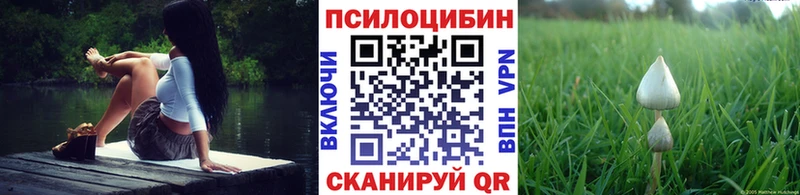 МЕГА вход  Лакинск  Псилоцибиновые грибы мицелий 